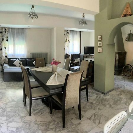 Гостьовий будинок Theodoras House Nea Iraklitsa Екстер'єр фото