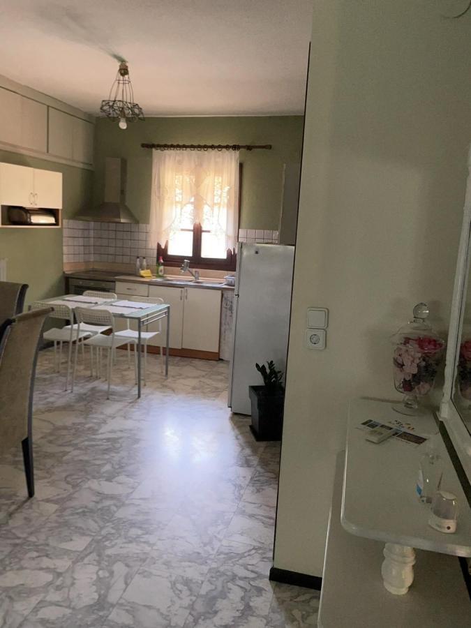 Гостьовий будинок Theodoras House Nea Iraklitsa Екстер'єр фото